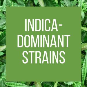 tt-strainpage-indicadominant-1-26-2017