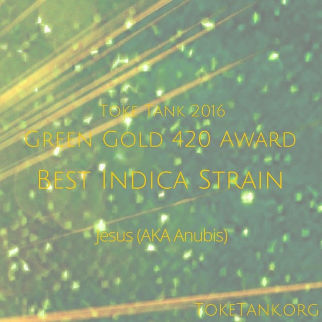 TT.420Award2016. BestIndica