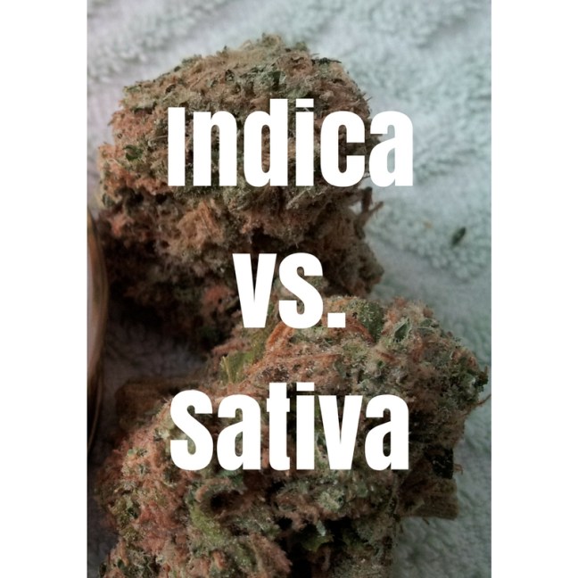 Indica vs. Sativa