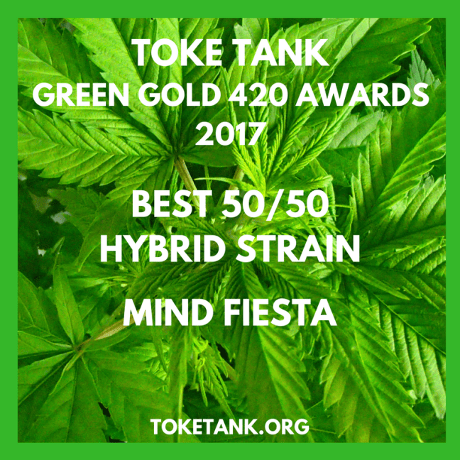 TT.420Awards2017.GreenGold.BEST5050HYBRID.4.12.2017