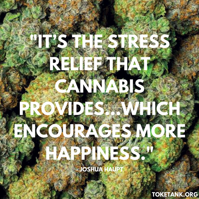 TT.Image.Spotlight.JoshuaHaupt.Quote1.5.1.2017