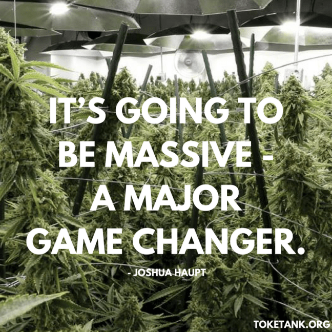 TT.Image.Spotlight.JoshuaHaupt.Quote2.5.1.2017