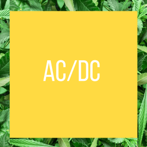 TT.StrainPage.ACDC.5.26.2017