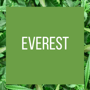 TT.StrainPage.Indica.Everest.5.13.2017