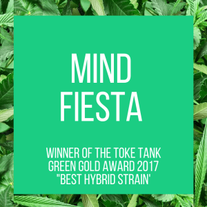 TT.StrainPage.MindFiesta.5.13.2017