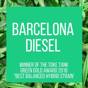 TT.420Awards.BarcelonaDiesel.4.17.2018