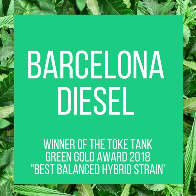 TT.420Awards.BarcelonaDiesel.4.17.2018