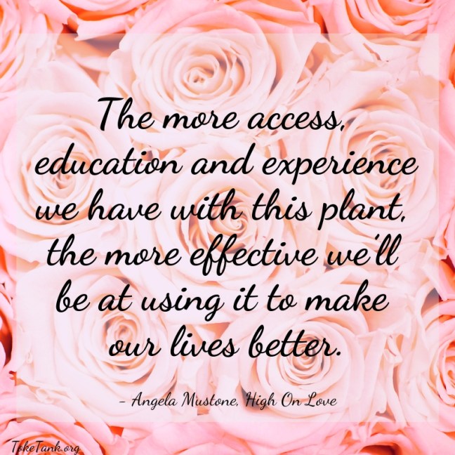 TT.Spotlight.HighOnLove.Quote.2.10.2019