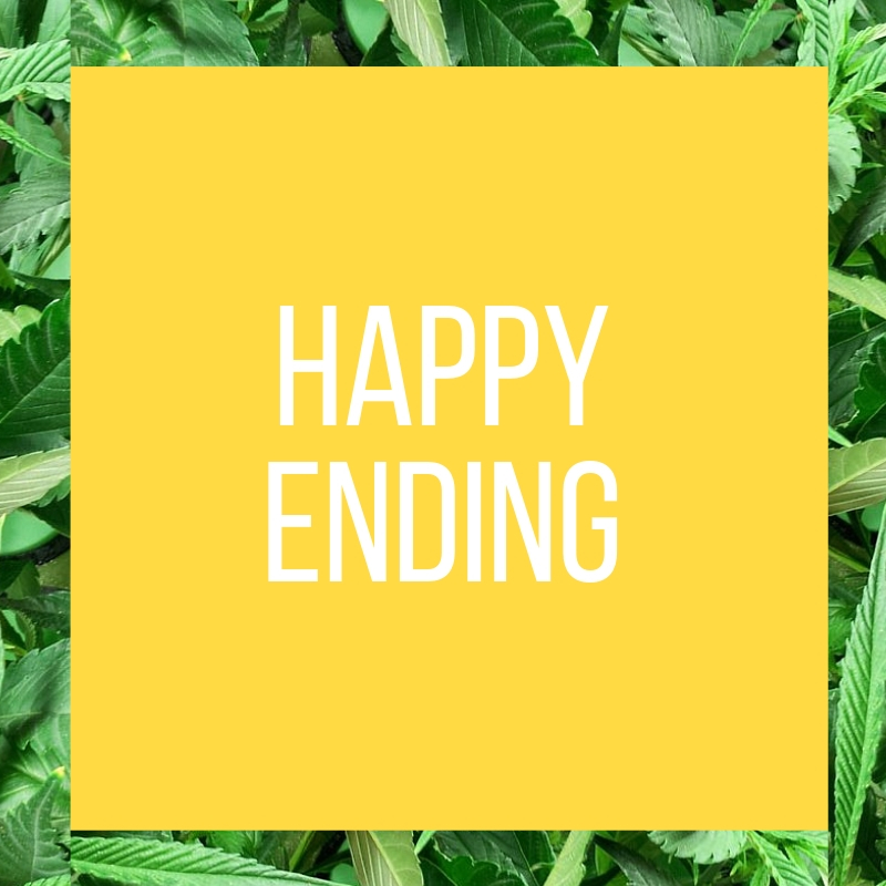 Creating Happy End Users Create Your Own Happy Ending – Toke Tank