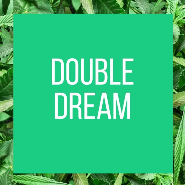 TT.StrainPage.DoubleDream.4.14.2019